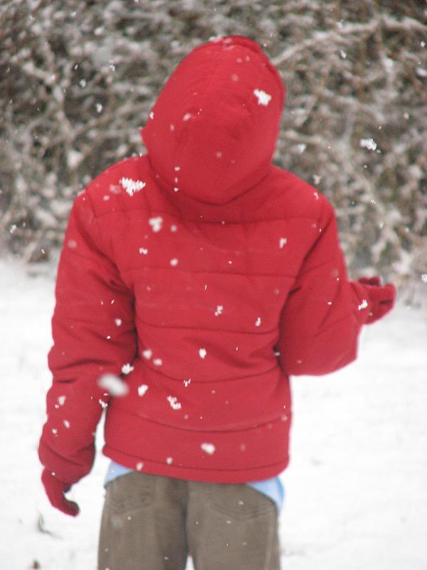 2008-12-07_First_Snow 066.jpg